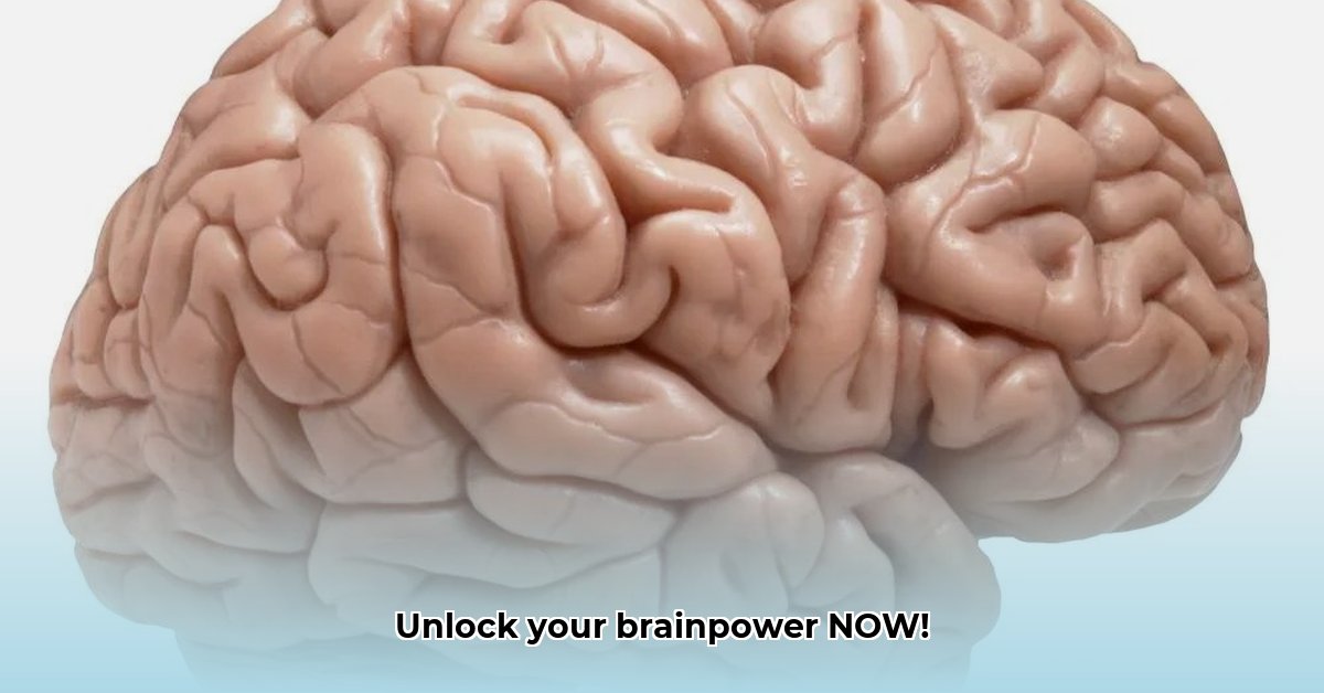 laat-je-hersenen-niet-zitten